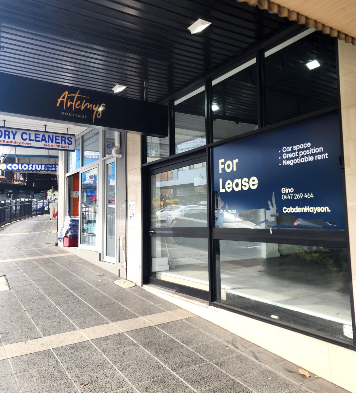 336 Homer Street Earlwood